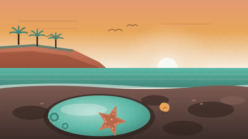 Illustration of the La Jolla tide pools at low tide, with palm-topped sandstone bluffs above Coast Boulevard, an orange sea star and green anemones in a clear rock pool, and a calm morning sun in the brand's coral and amber palette