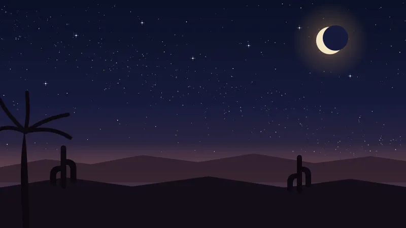 Illustration of a star-filled night sky and the Milky Way arching over a dark desert ridge with cactus and palm silhouettes near San Diego, in the brand's coral, amber, and deep-blue palette