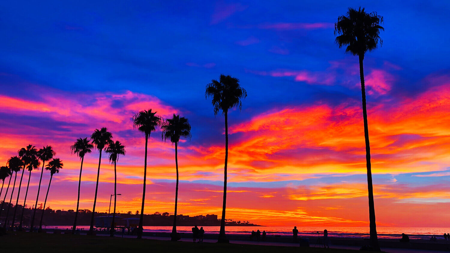 La Jolla Shores Beach