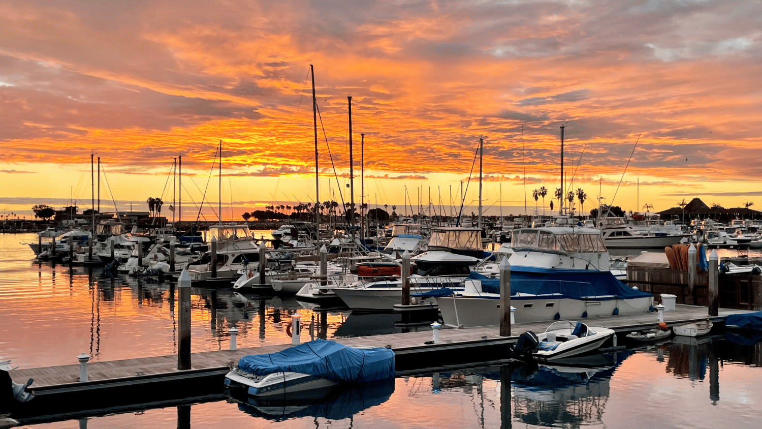 seaforth marina mission bay san diego